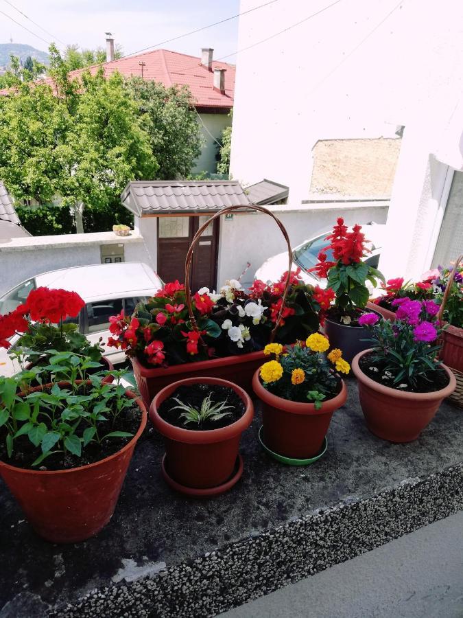 Apartman Ohren سراييفو المظهر الخارجي الصورة
