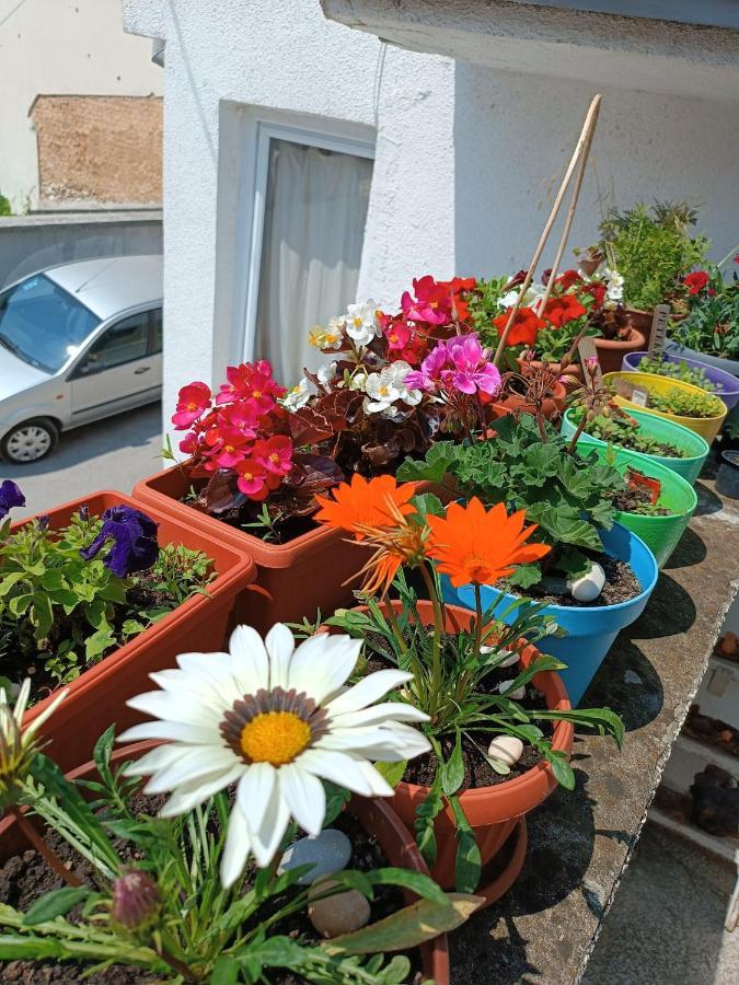 Apartman Ohren سراييفو المظهر الخارجي الصورة